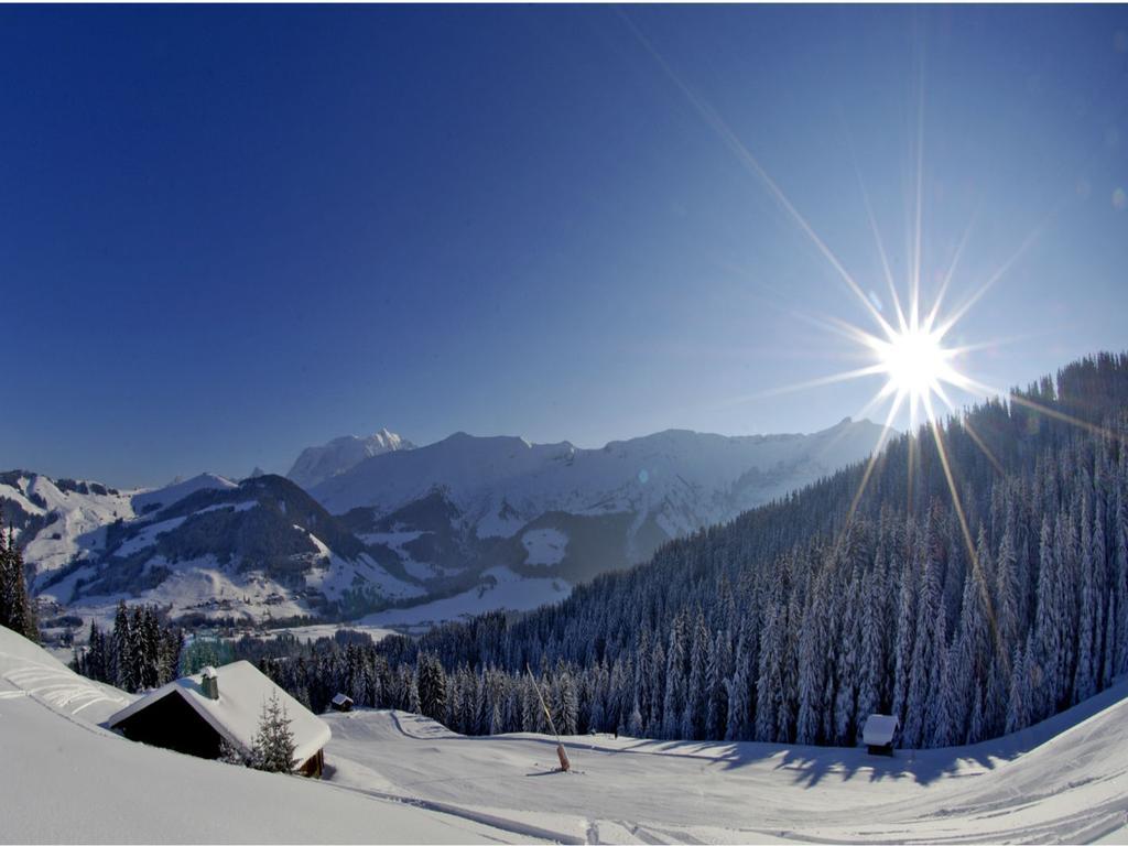 Appartement Des Cretets Megeve Bagian luar foto